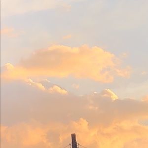 Meet your Posher, Abigail